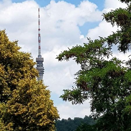 Ferienwohnung Elbhangblick - Fur 2 Personen Dresden Dış mekan fotoğraf