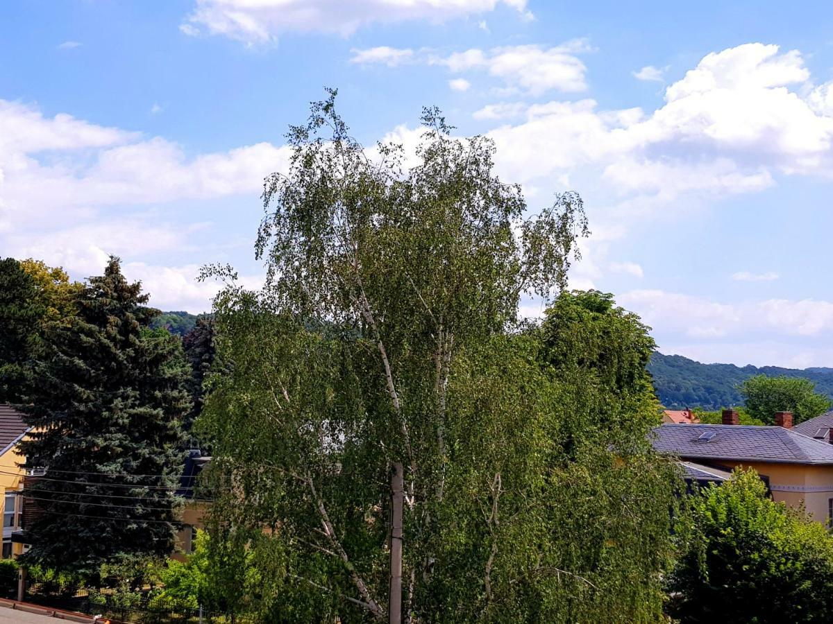 Ferienwohnung Elbhangblick - Fur 2 Personen Dresden Dış mekan fotoğraf