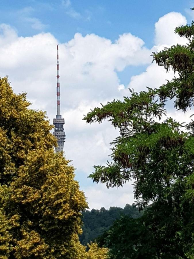 Ferienwohnung Elbhangblick - Fur 2 Personen Dresden Dış mekan fotoğraf
